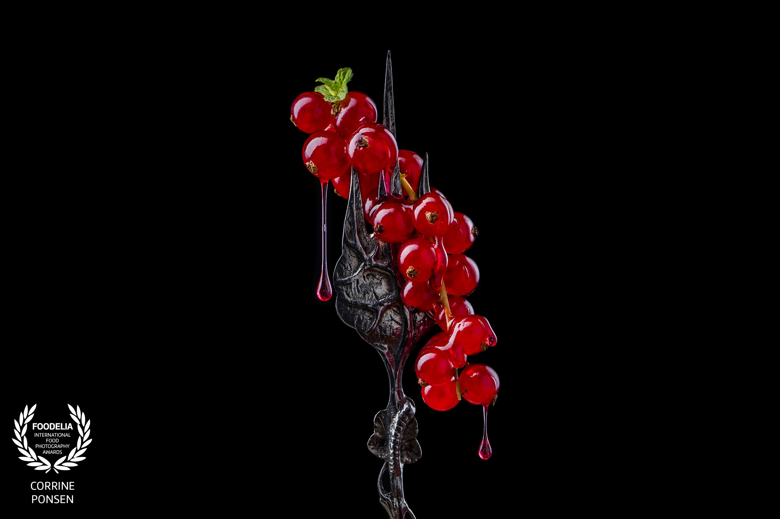 culinair fotograaf Utrecht