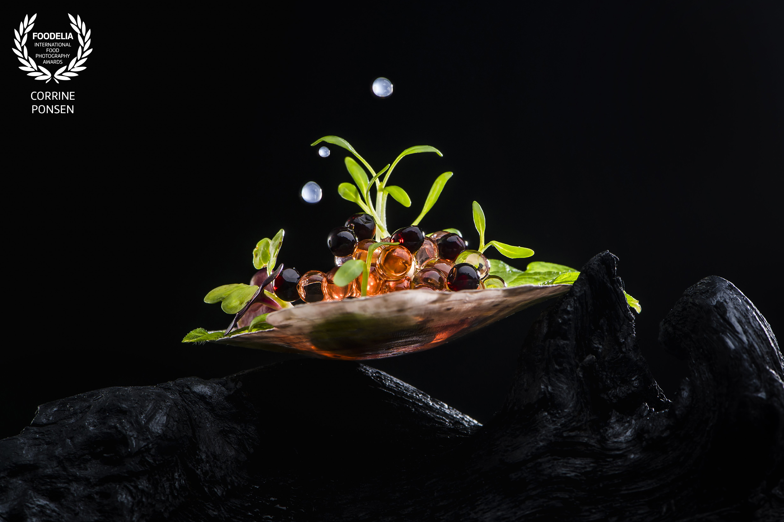 culinair fotograaf Utrecht