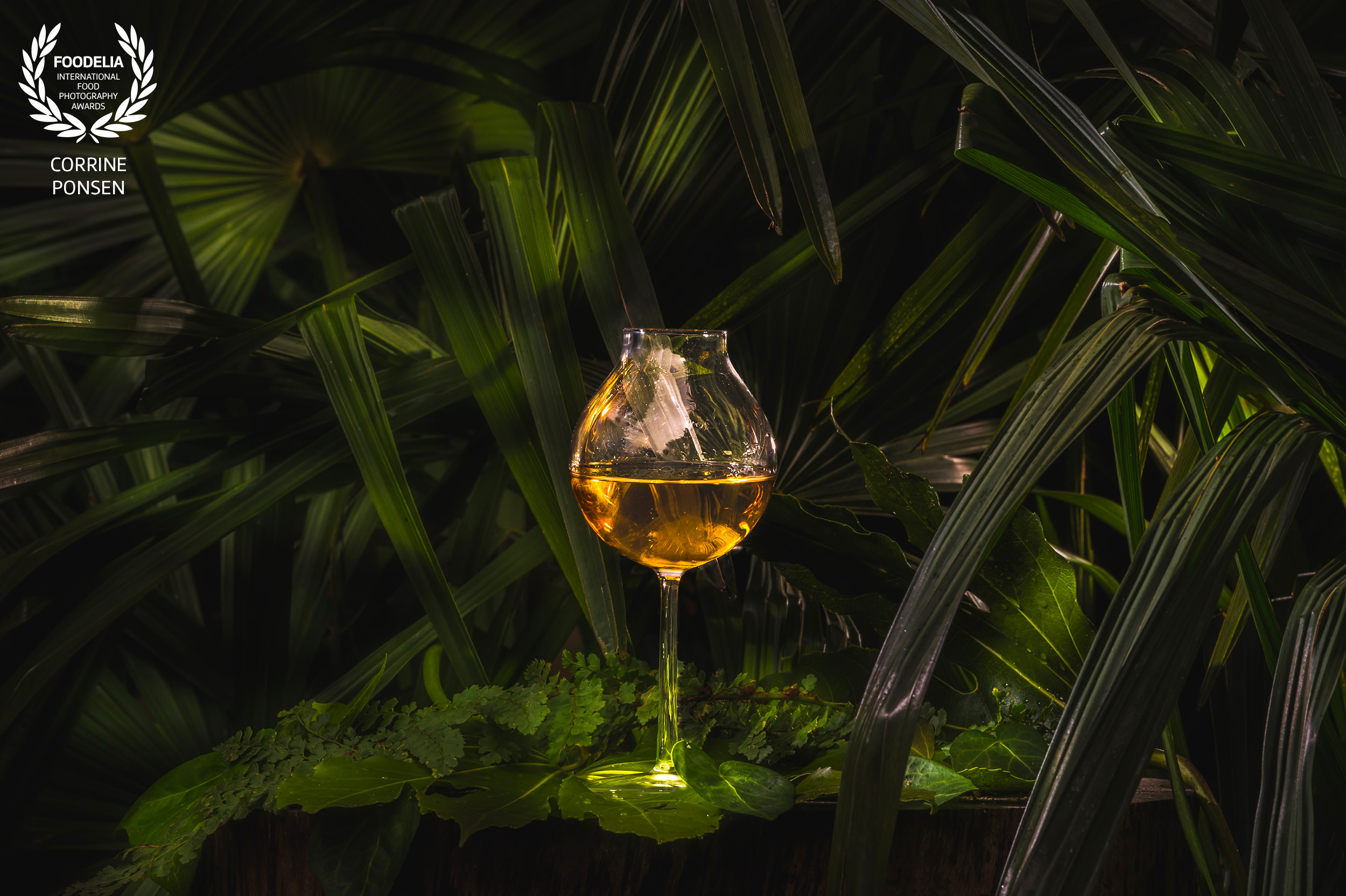 culinair fotograaf