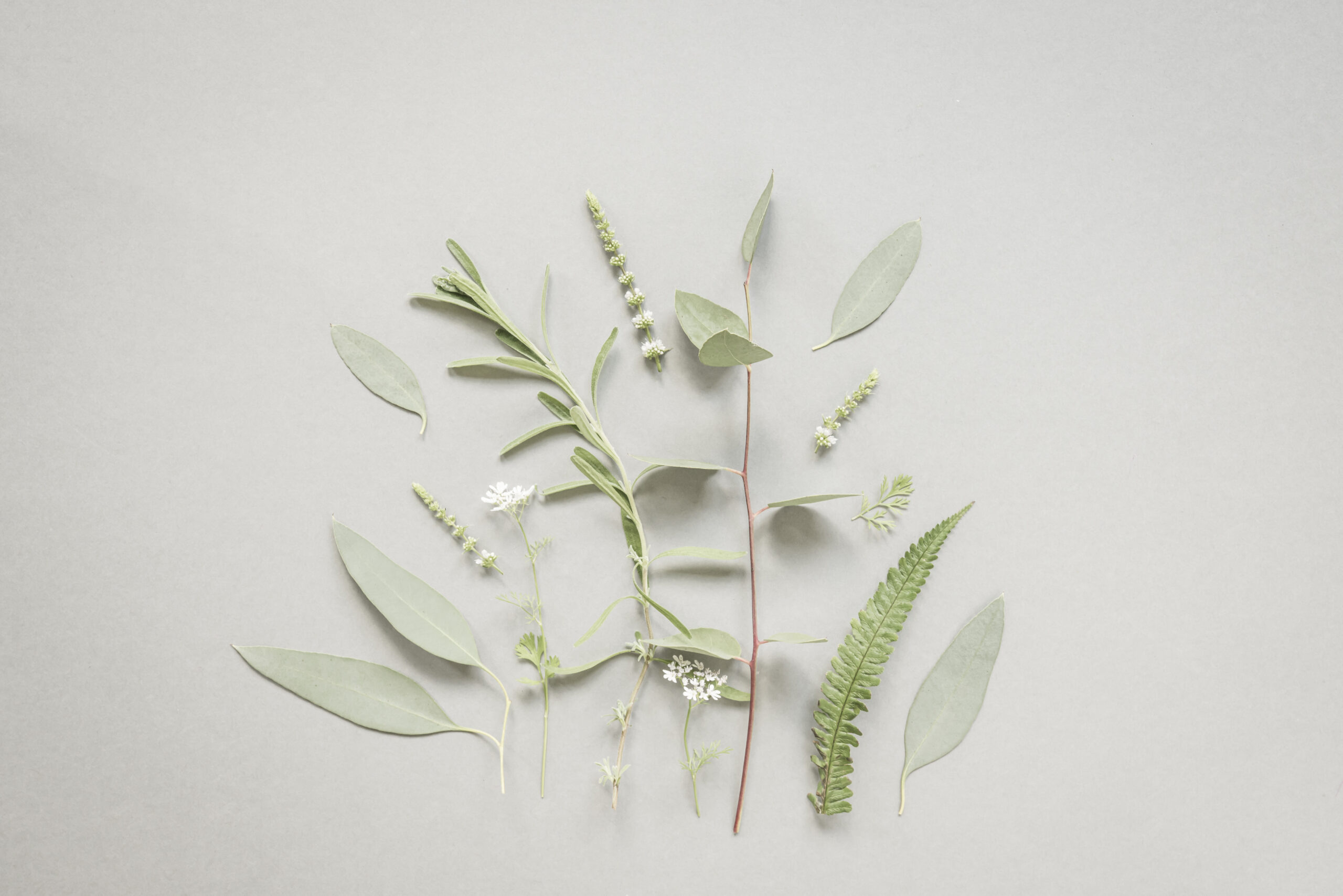 botanische flatlay