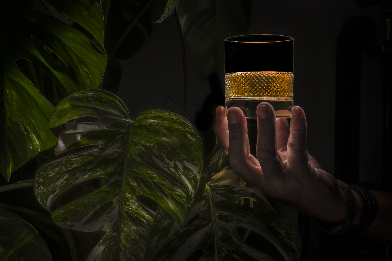 whiskeyglazen fotograferen