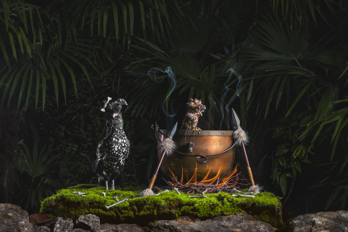 professionele fotograaf en AI