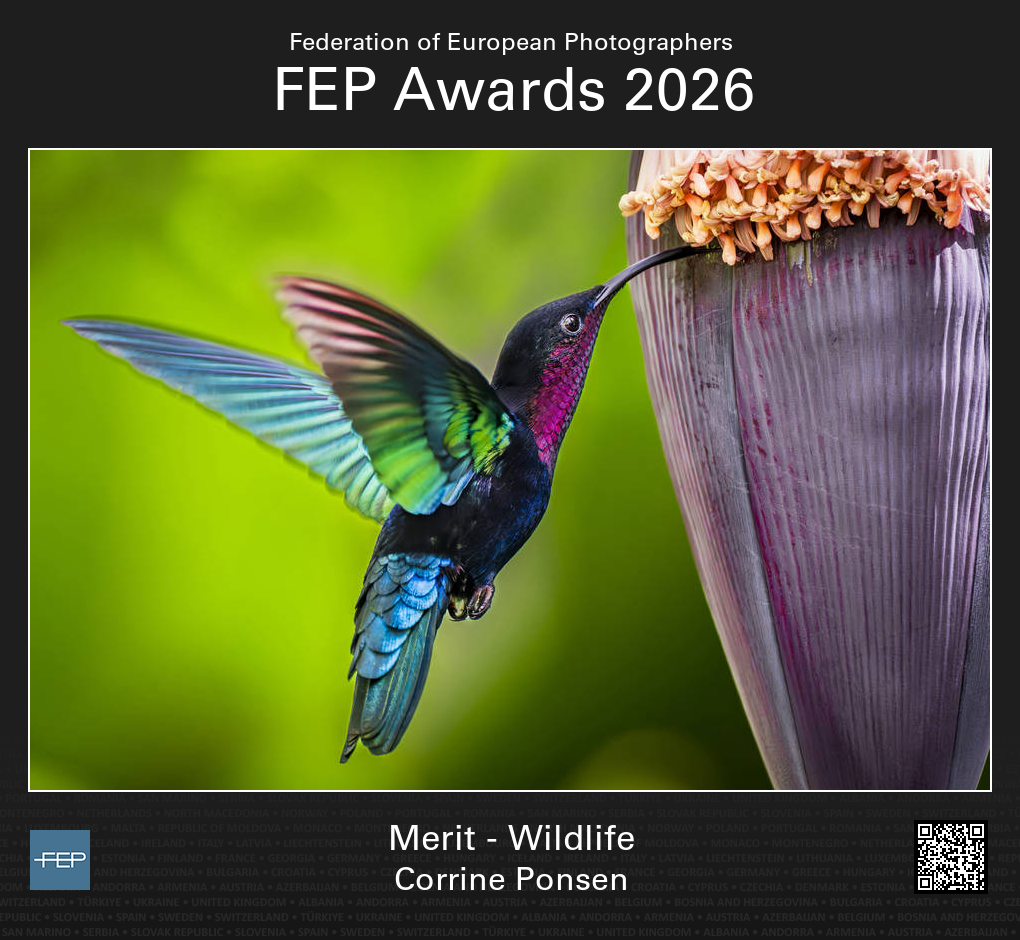 award 